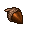acorn