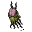 Brain Squid