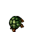 Tortoise